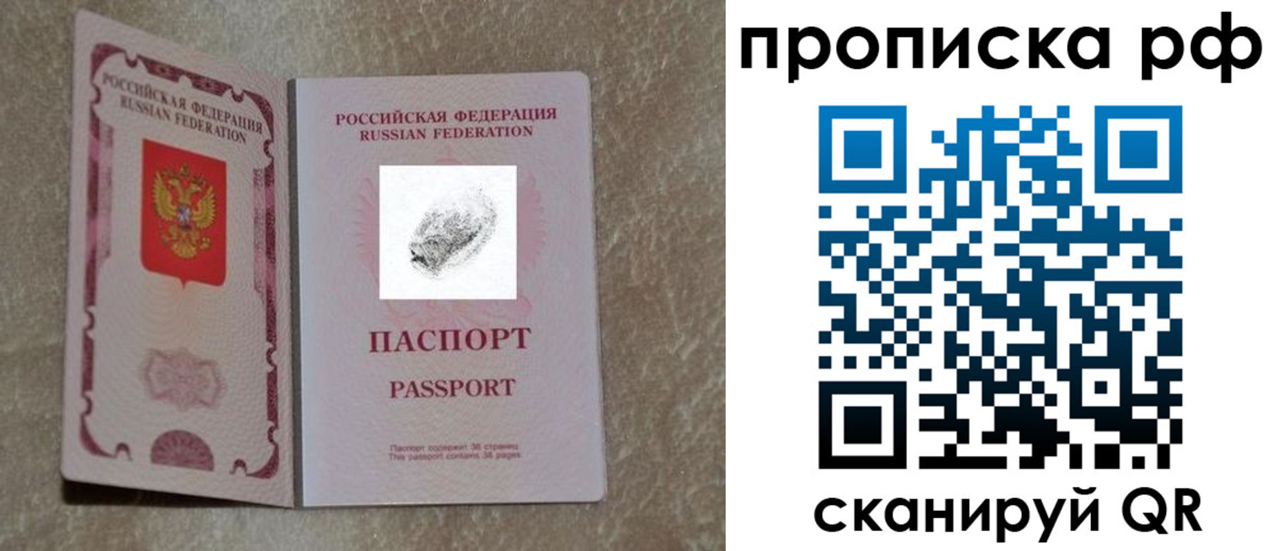 прописка поиск в Белёве